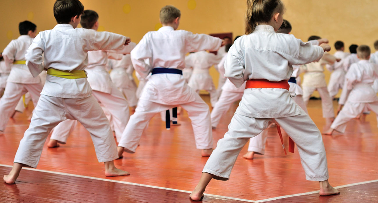 Karate – Dma Fitness Club In Dubai